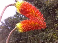 /album/ver%c3%a3o%202011/foto0839-jpg/